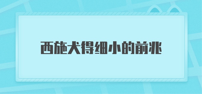 西施犬得细小的前兆