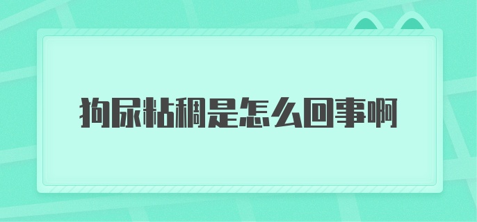 狗尿粘稠是怎么回事啊