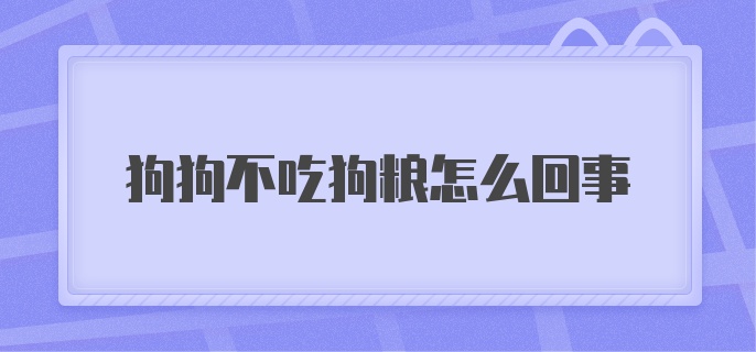 狗狗不吃狗粮怎么回事