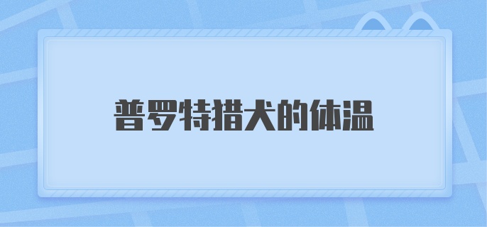 普罗特猎犬的体温