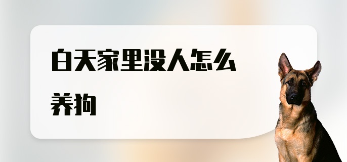 白天家里没人怎么养狗