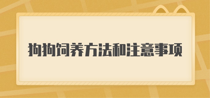 狗狗饲养方法和注意事项