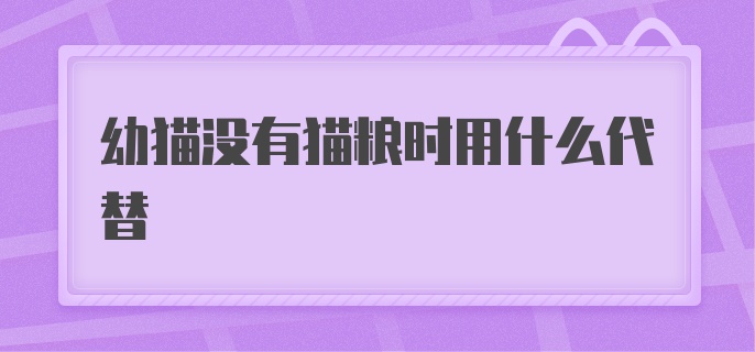 幼猫没有猫粮可以用什么代替代替？