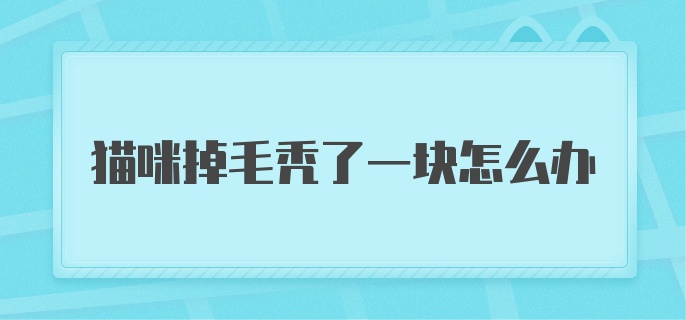 猫咪掉毛秃了一块怎么办