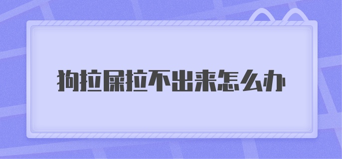 狗拉屎拉不出来怎么办