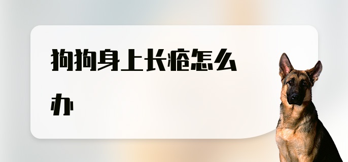 狗狗身上长疮怎么办