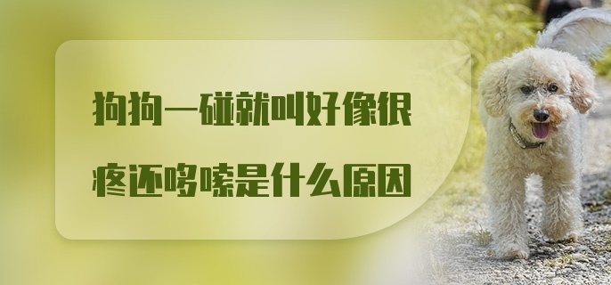 狗狗一碰就叫好像很疼还哆嗦是什么原因