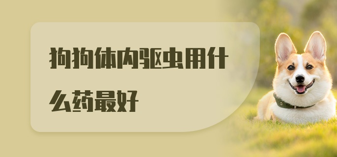 狗狗体内驱虫用什么药最好