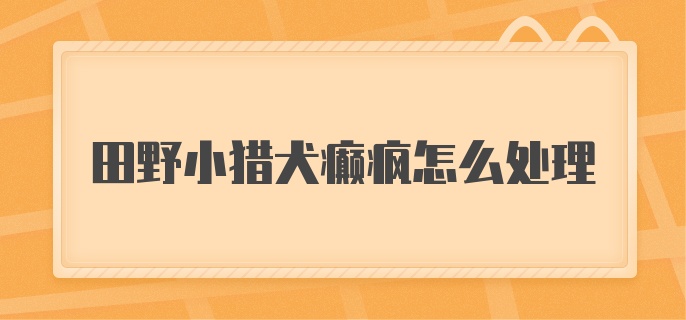 田野小猎犬癫疯怎么处理