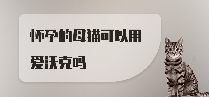 怀孕的母猫可以用爱沃克吗