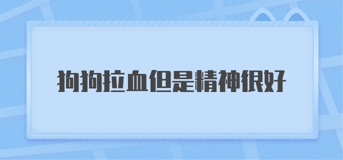 狗狗拉血但是精神很好