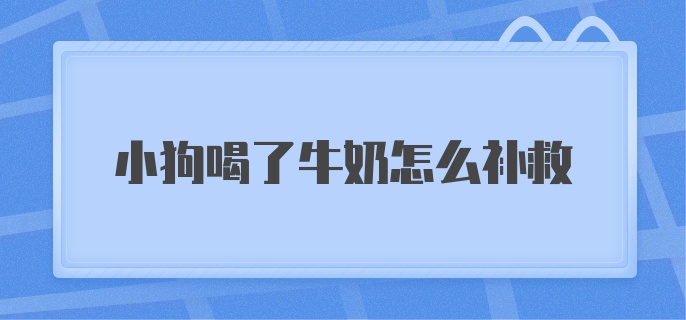 小狗喝了牛奶怎么补救