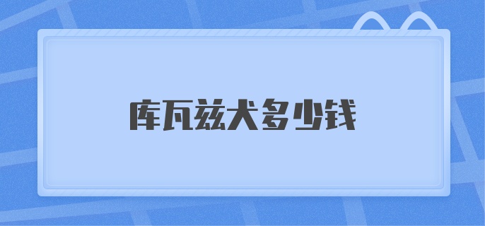 库瓦兹犬多少钱