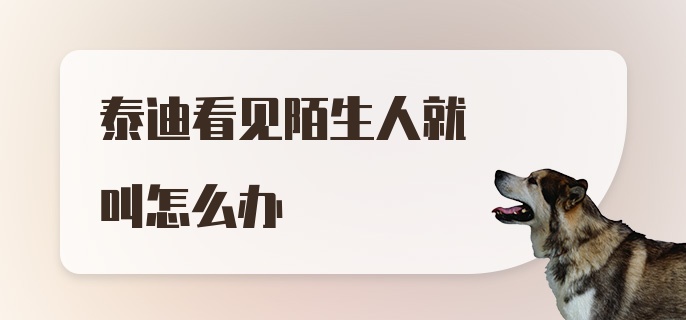 泰迪看见陌生人就叫怎么办