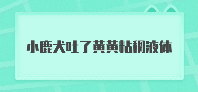 小鹿犬吐了黄黄粘稠液体