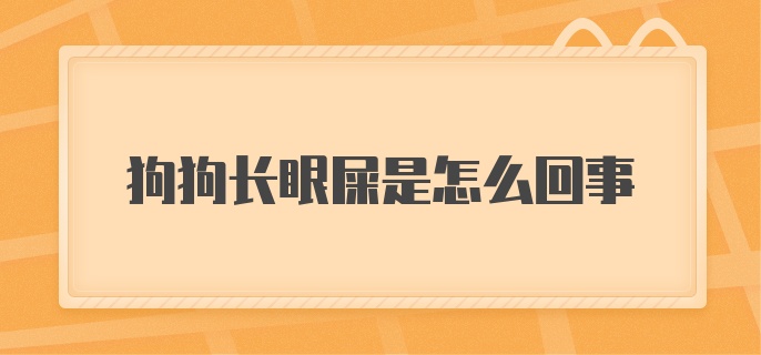 狗狗长眼屎是怎么回事