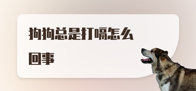 狗狗总是打嗝怎么回事