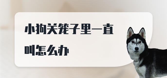 小狗关笼子里一直叫怎么办