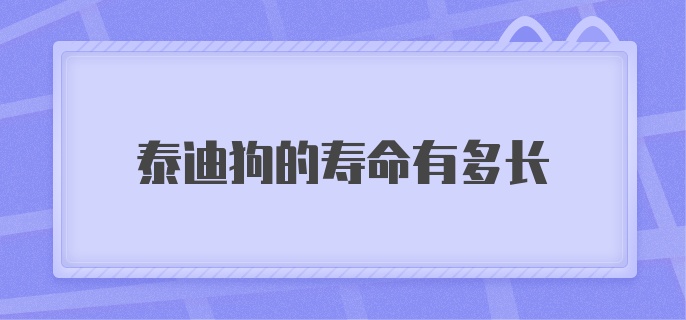 泰迪狗的寿命有多长