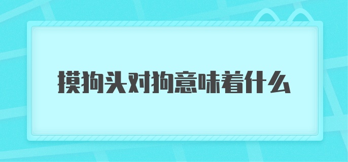 摸狗头对狗意味着什么