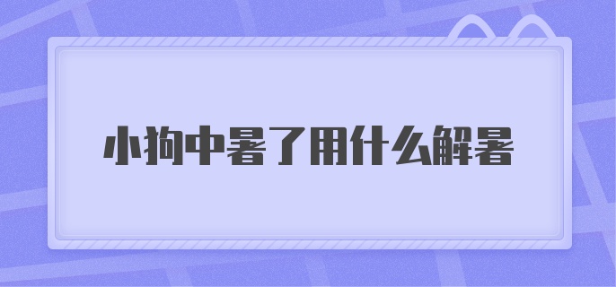 小狗中暑了用什么解暑