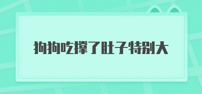 狗狗吃撑了肚子特别大