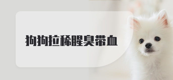 狗狗拉稀腥臭带血