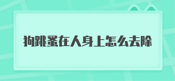 狗跳蚤在人身上怎么去除