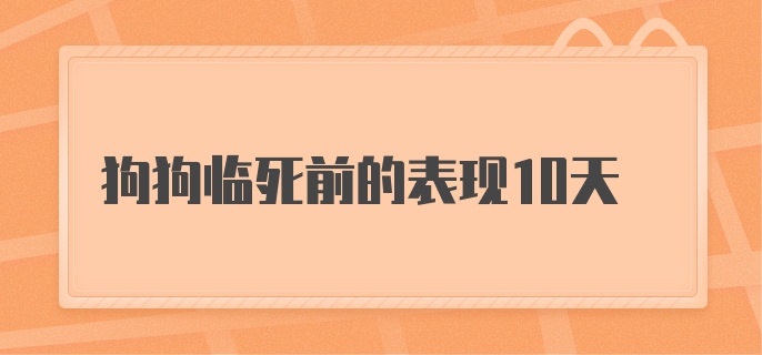 狗狗临死前的表现10天