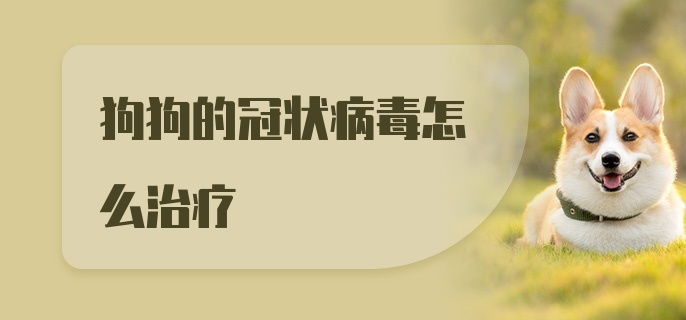 狗狗的冠状病毒怎么治疗