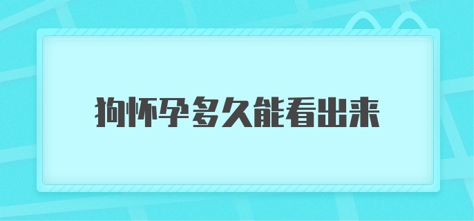 狗怀孕多久能看出来