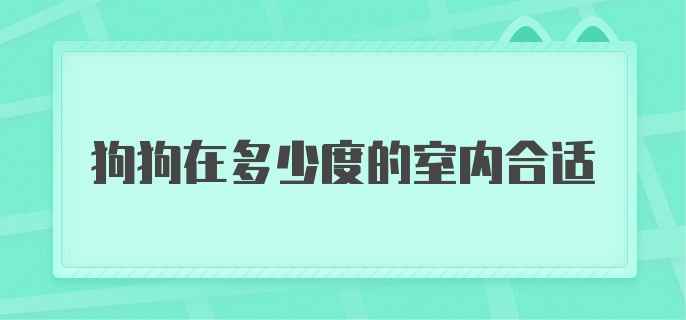 狗狗在多少度的室内合适