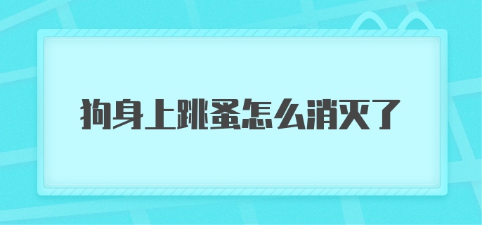 狗身上跳蚤怎么消灭了