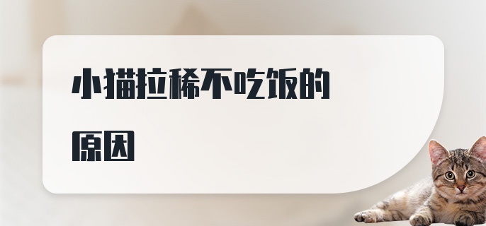 小猫拉稀不吃饭的原因