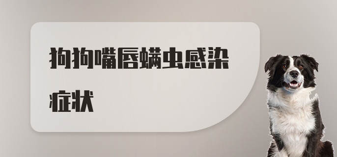 狗狗嘴唇螨虫感染症状