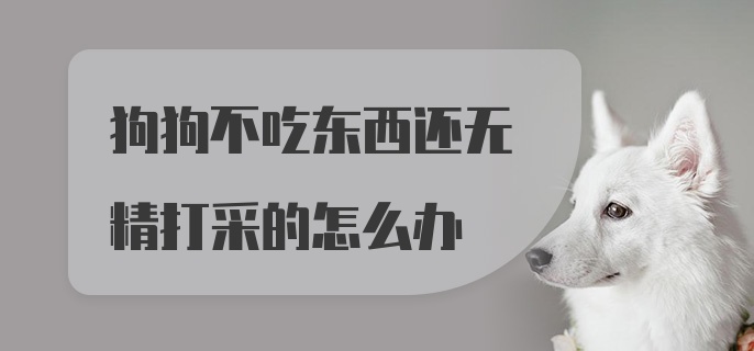 狗狗不吃东西还无精打采的怎么办