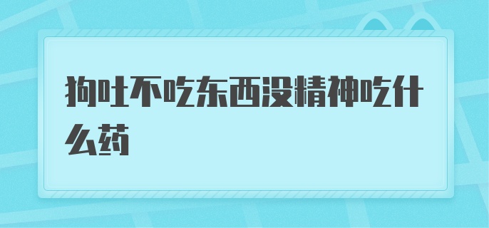 狗吐不吃东西没精神吃什么药