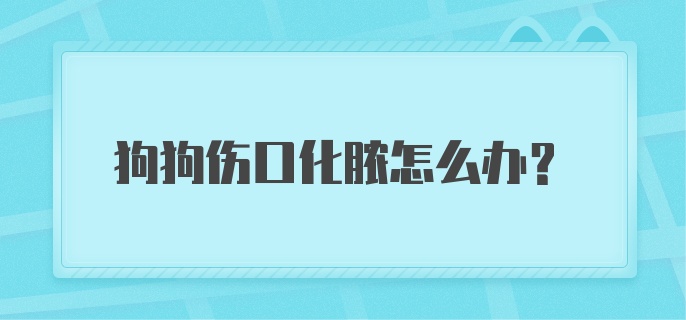 狗狗伤口化脓怎么办？