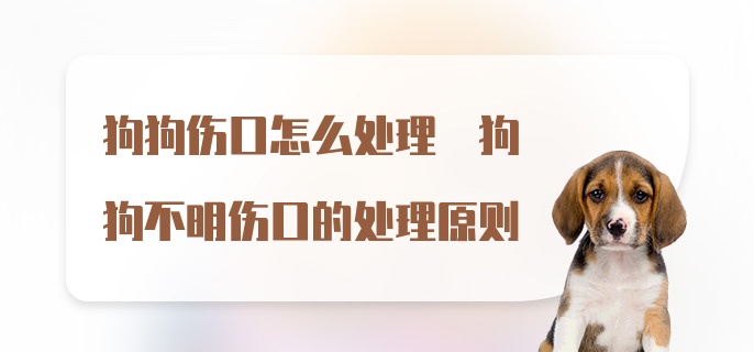 狗狗伤口怎么处理 狗狗不明伤口的处理原则