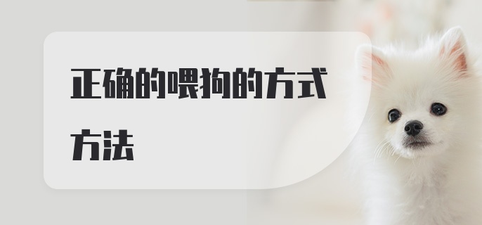 正确的喂狗的方式方法