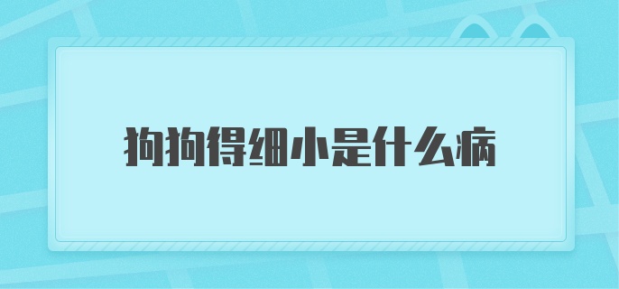 狗狗得细小是什么病