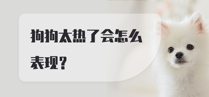 狗狗太热了会怎么表现？