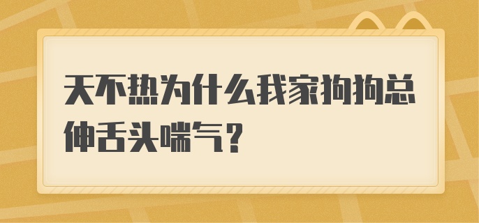 天不热为什么我家狗狗总伸舌头喘气？