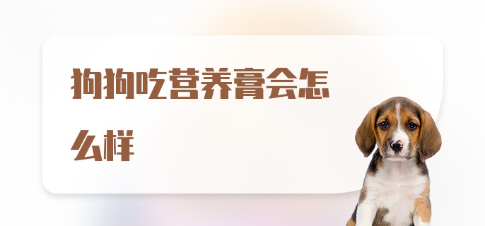 狗狗吃营养膏会怎么样