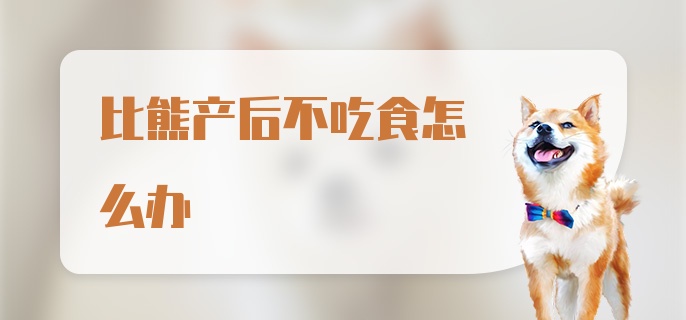 比熊产后不吃食怎么办