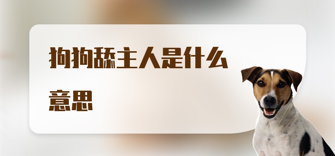 狗狗舔主人是什么意思