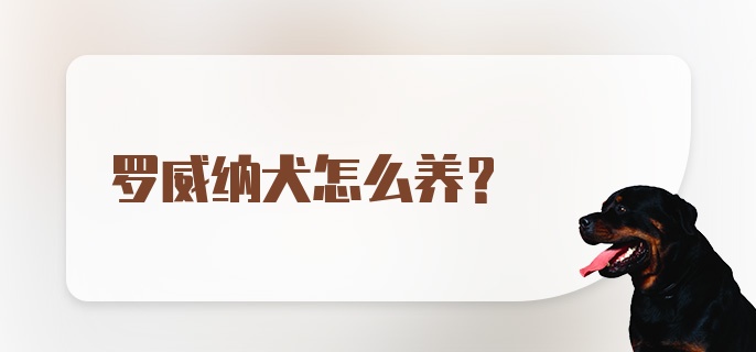 罗威纳犬怎么养？