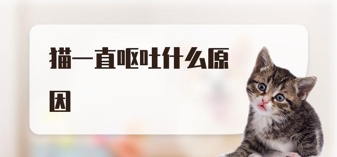 猫一直呕吐什么原因