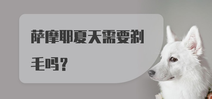 萨摩耶夏天需要剃毛吗？