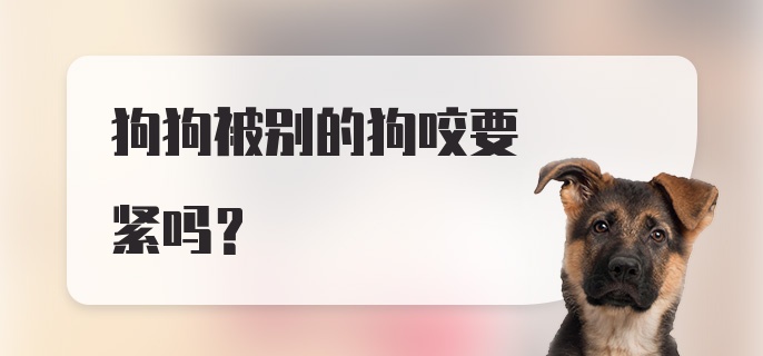 狗狗被别的狗咬要紧吗？